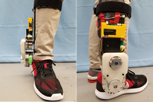 Robotic Ankle-Foot Orthosis